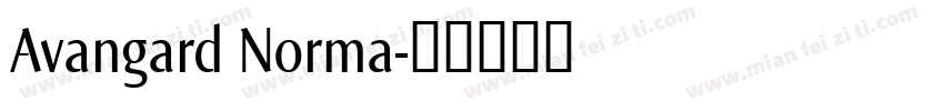 Avangard Norma字体转换